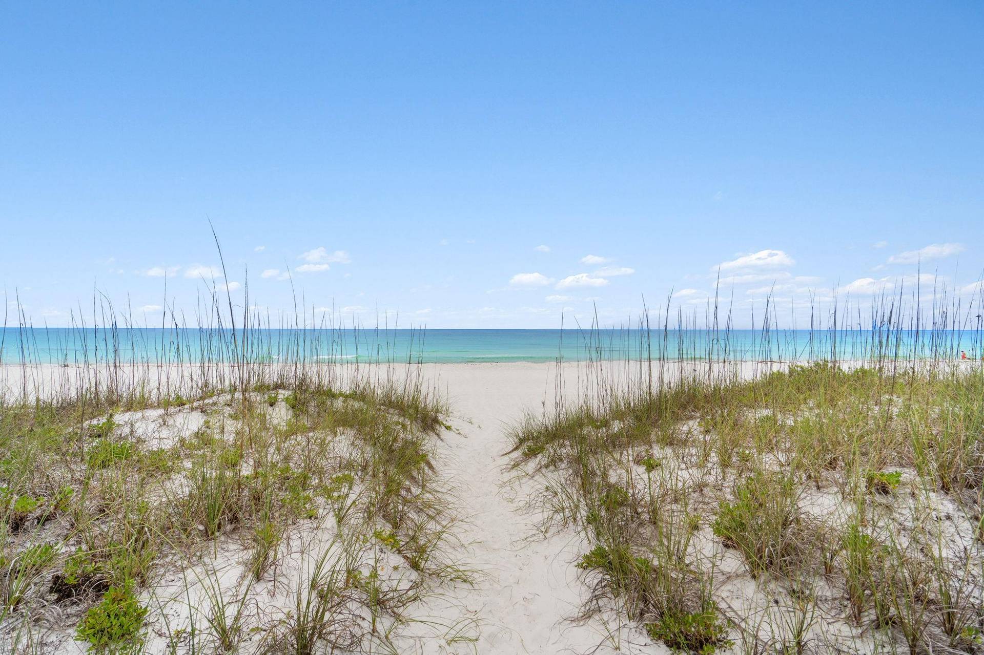 Beach Path