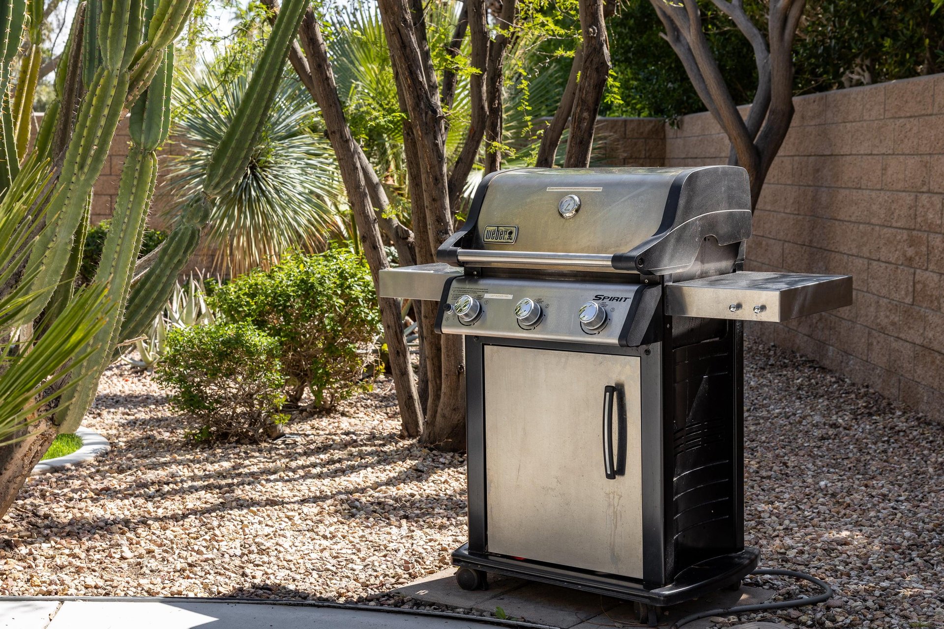 BBQ