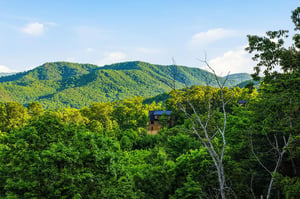 Nestled in lush forest with panoramic mountain ridges visible from the property, this secluded retreat offers a peaceful escape surrounded by nature.