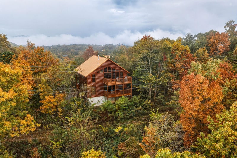 sweetbearolineextupdate16