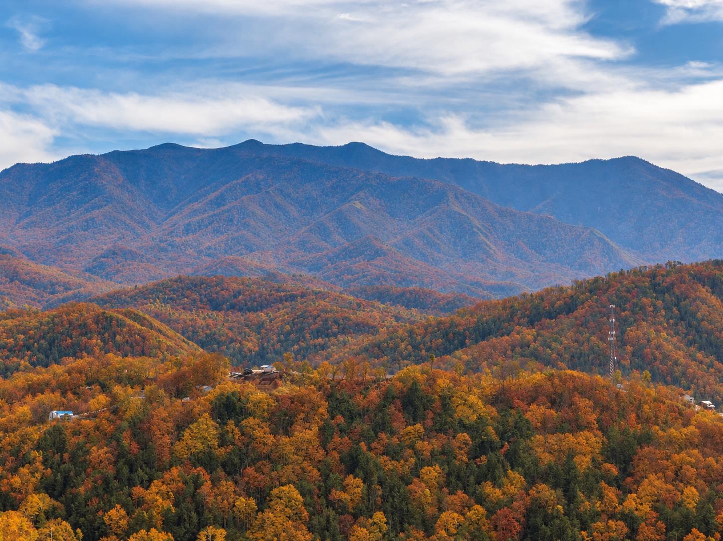 Fall shot