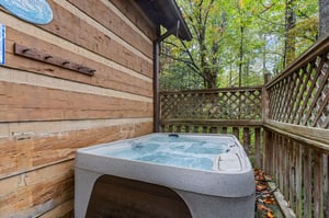 littlebirdcabin17