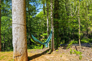 Peaceful forest setting surrounds the property, with mature trees and natural pathways creating a serene woodland environment.
