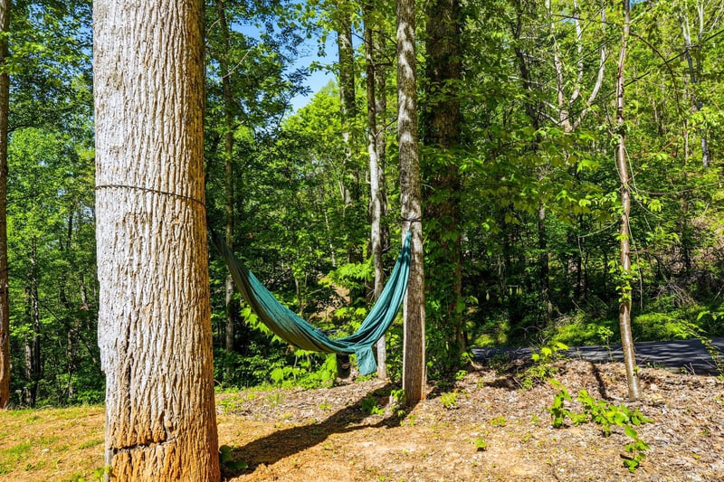 Peaceful forest setting surrounds the property, with mature trees and natural pathways creating a serene woodland environment.