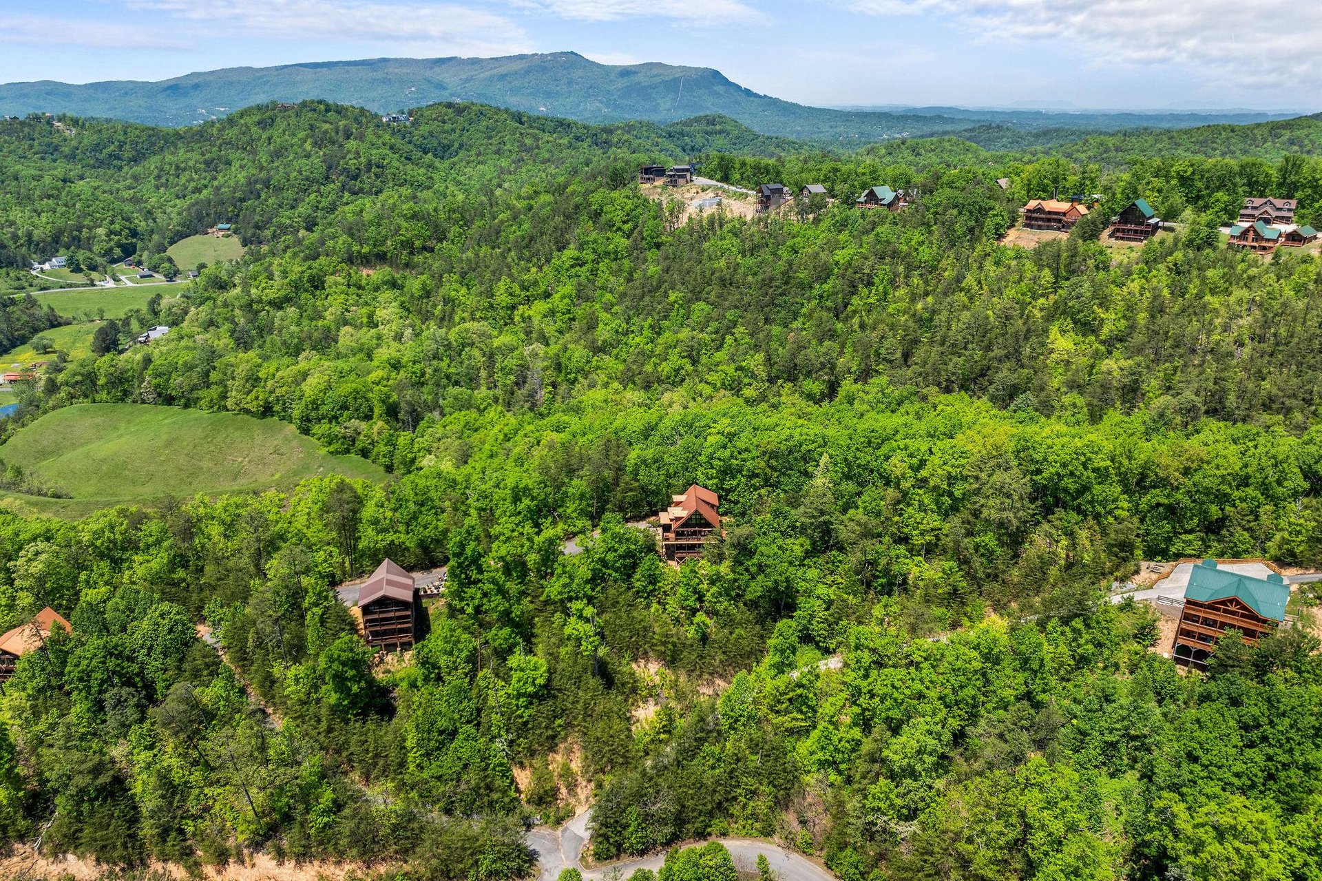 moonbeamandcabindreams19