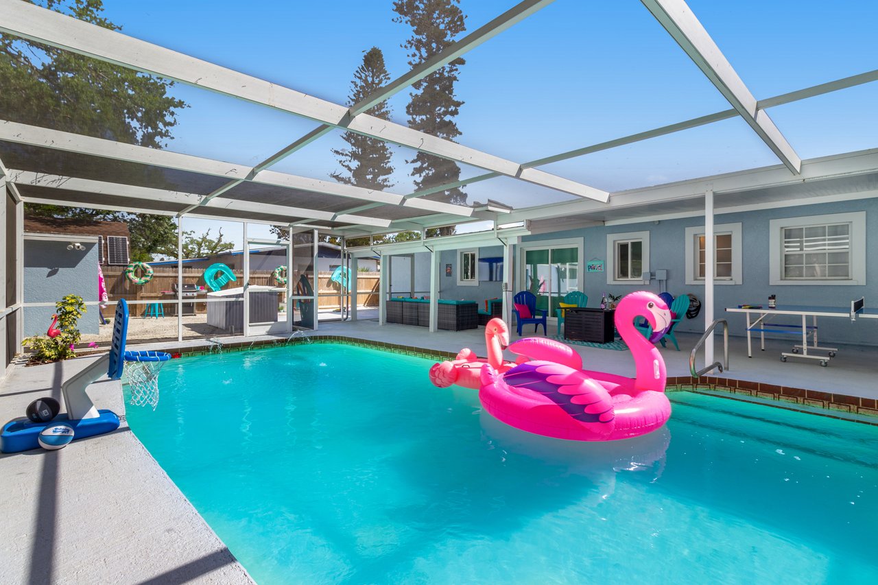 The Fancy Flamingo 1