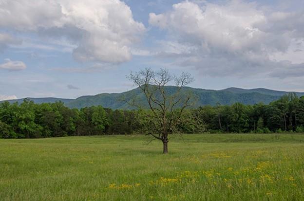 0 Cades Cove
