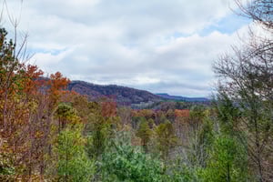 Fall colors on the Smoky Mountains at Enchanted Evening, a 1bedroom cabin rental located in Pigeon Forge
