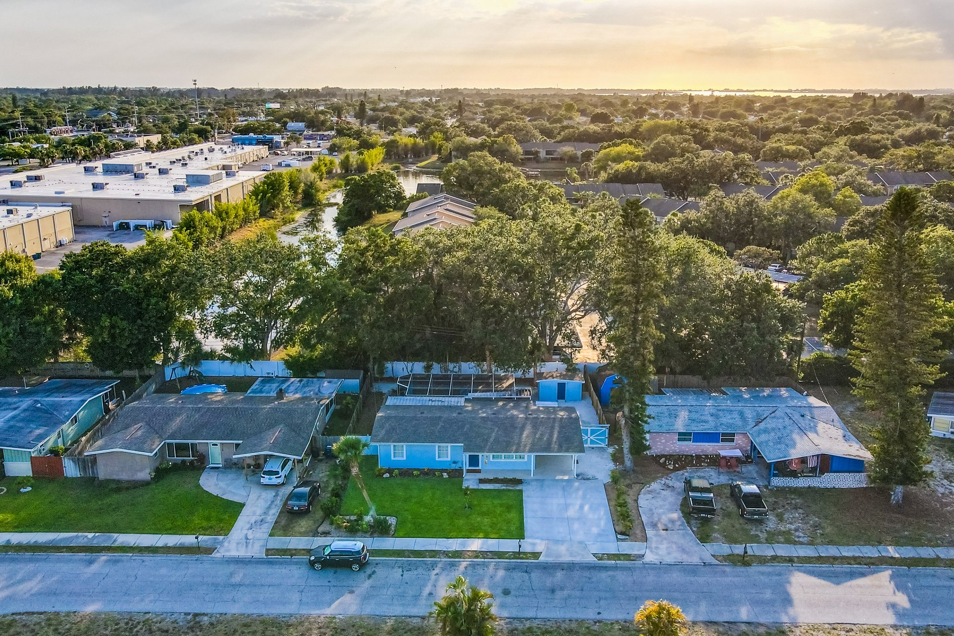 The Fancy Flamingo 34