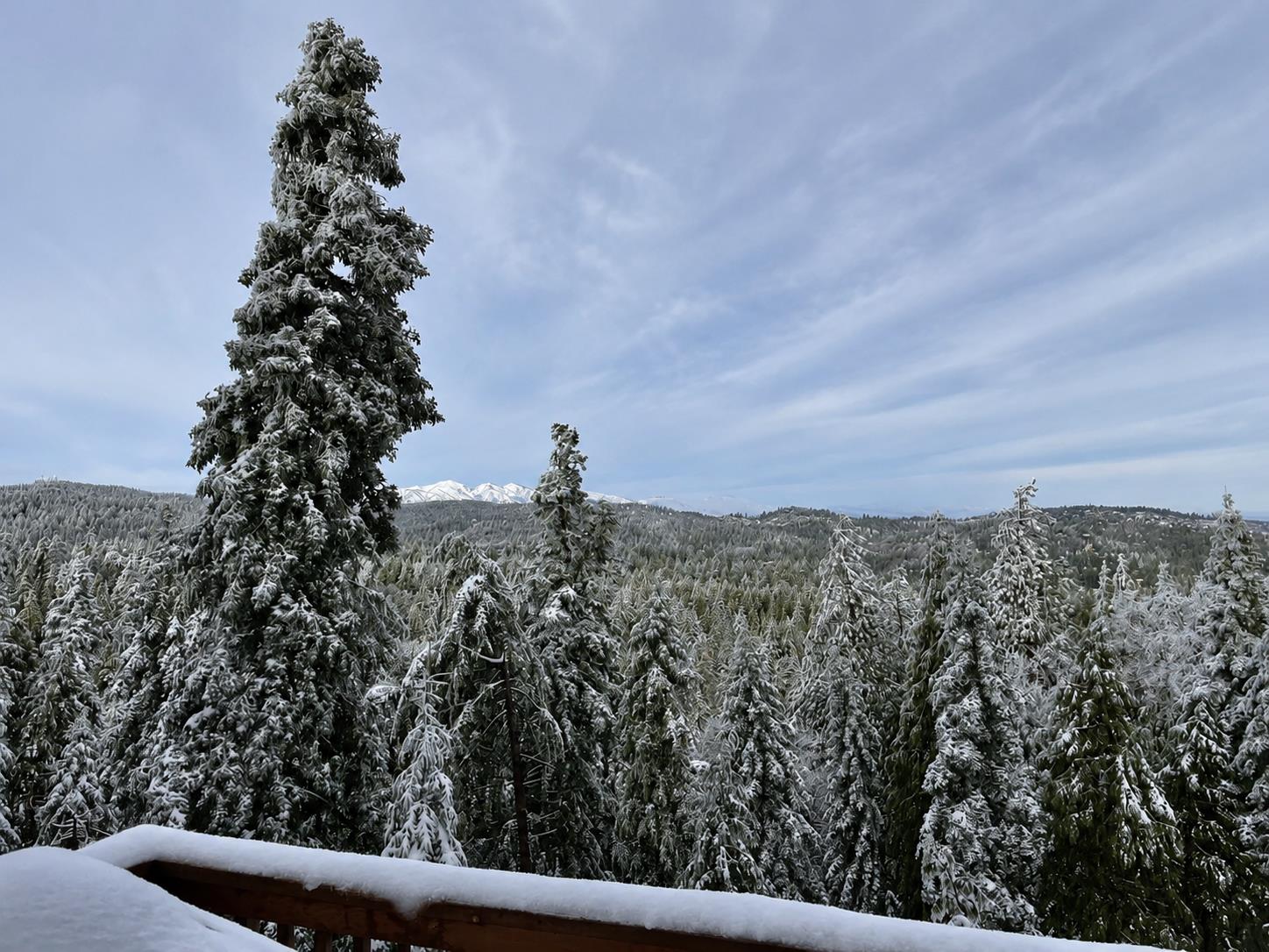 Beautiful, expansive deck with mountain  treetop views, outdoor dining, and BBQ.