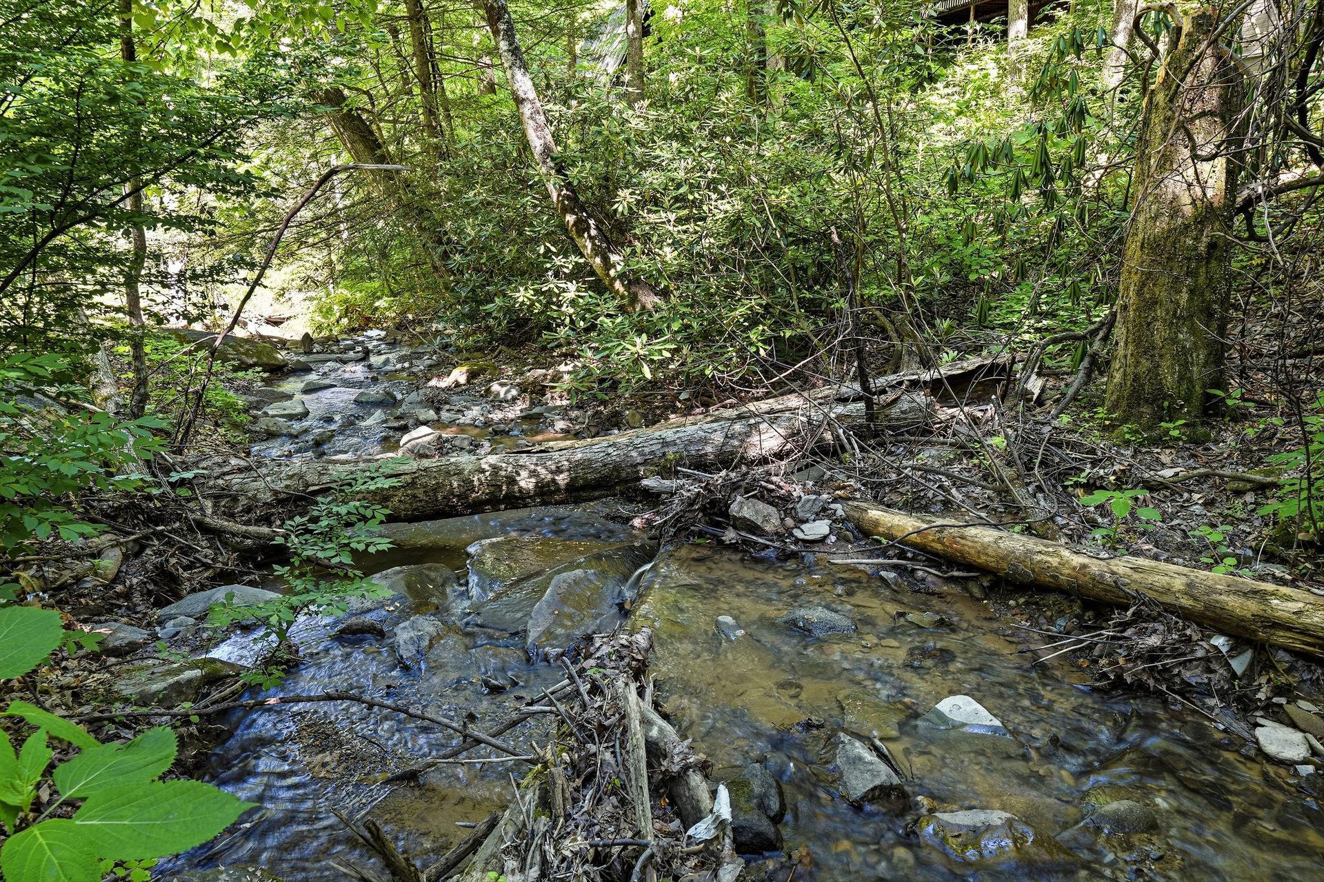 A tranquil stream winds through lush woodland near the property, offering peaceful natural scenery as part of the surrounding area.