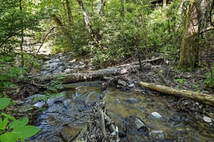 A tranquil stream winds through lush woodland near the property, offering peaceful natural scenery as part of the surrounding area.