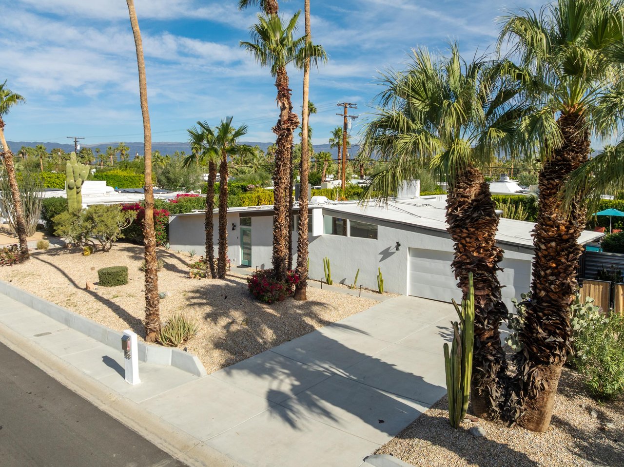 Modern desert retreat surrounded by towering palms and mountain views in a quiet residential neighborhood.