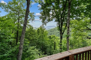 mountainmoonshine25