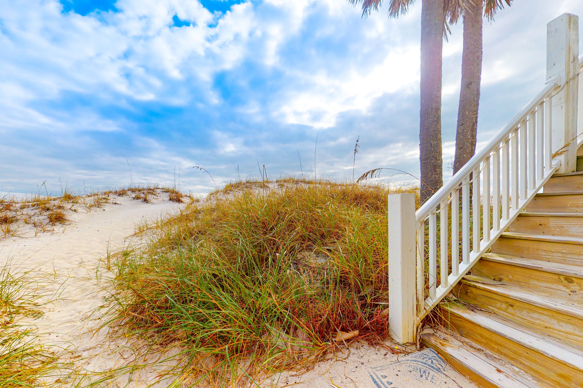 Sea Oats E 32