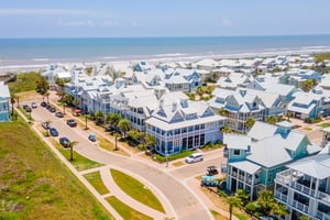 The Blue Crab, Aerial View of Community