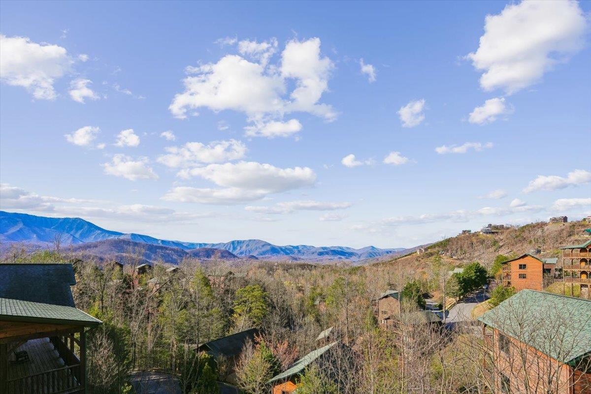 45View