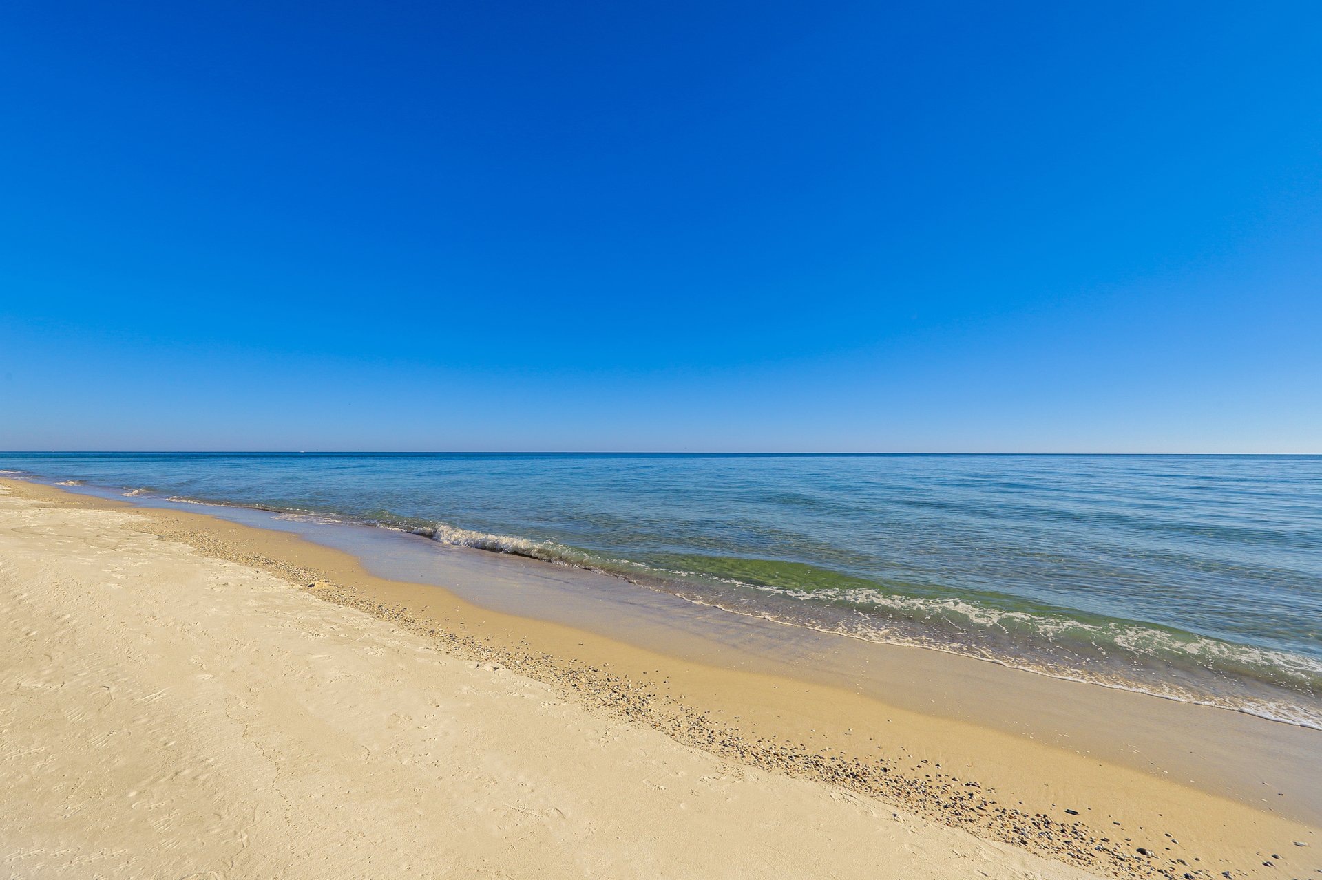 Escapes to the Shores 504 40