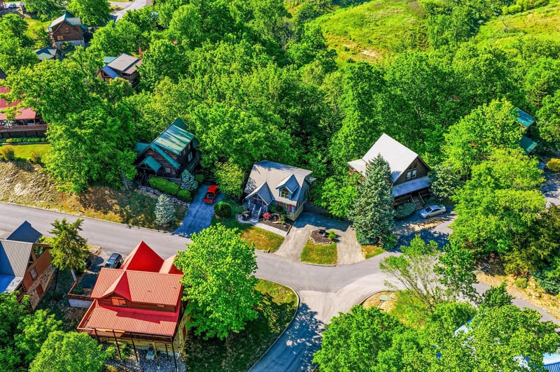 Aerial view of peaceful residential neighborhood surrounded by lush green trees and natural landscape.