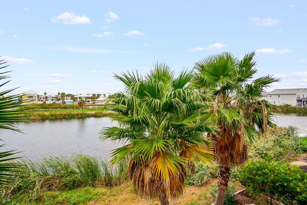 Back Balcony View, 2nd Floor