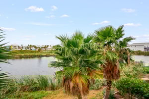 Back Balcony View, 2nd Floor