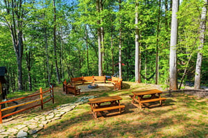 Gather around the fire pit for smores under towering trees, with picnic tables perfect for outdoor dining in this peaceful forest setting.