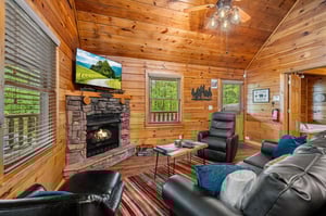 fireplace, TV, sleeper sofa  natural lighting