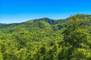 Expansive mountain vistas stretch across lush, forested peaks and rolling hills under clear blue skies, framing the scenic natural landscape surrounding the property.
