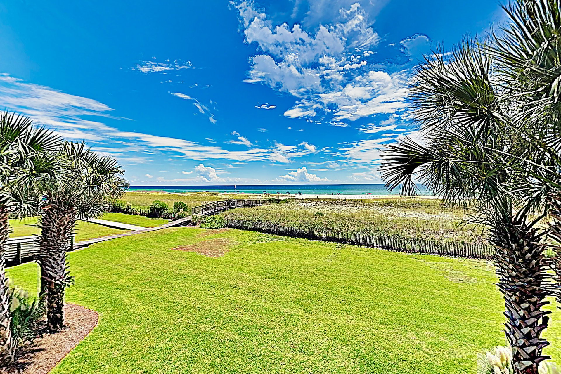 Needle Rush Point A23 15