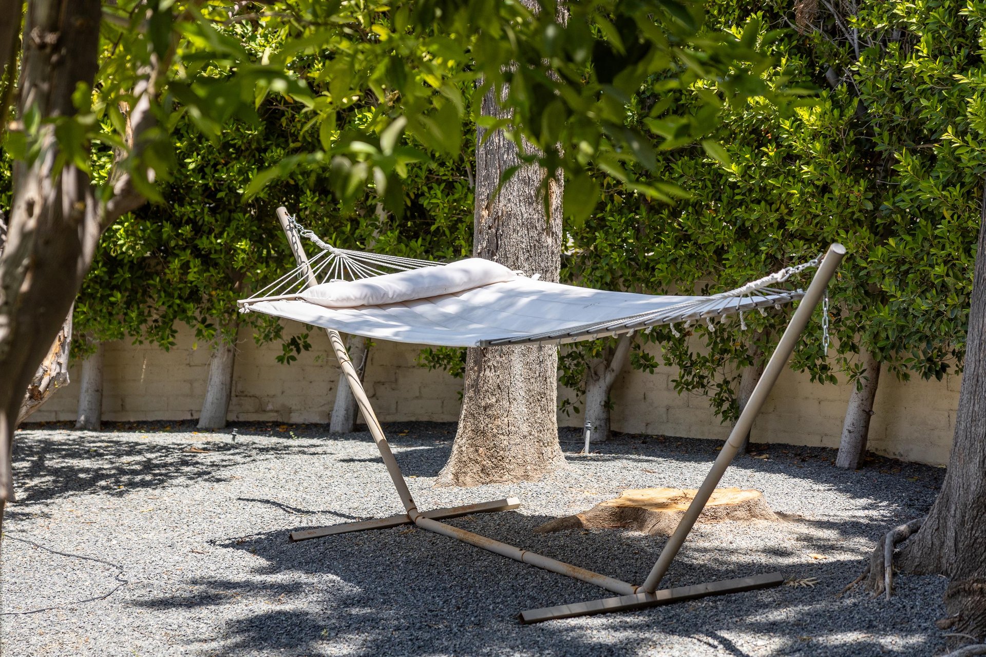 Relax in the hammock