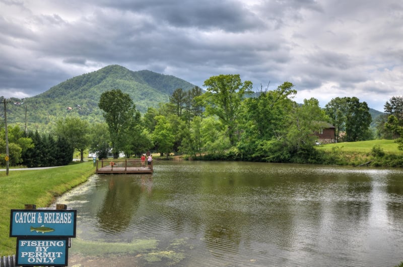 A serene fishing pond surrounded by lush greenery and backed by mountain views, offering a peaceful natural escape on the property grounds.