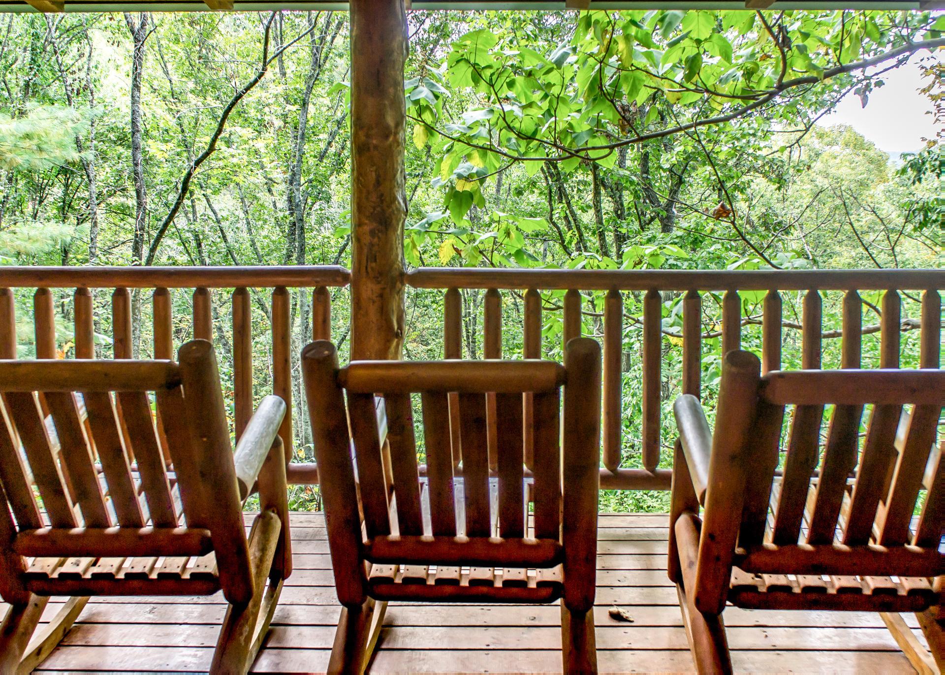 Whether its the vibrant spring blooms, lush summer greenery, colorful fall foliage, or serene winter landscapes, the Smokies offer breathtaking views and activities throughout the year.