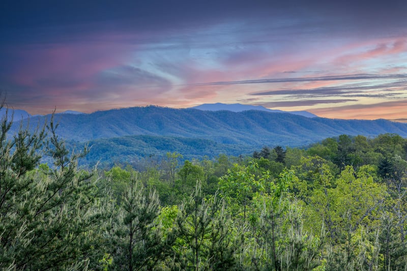 View from Mountain Bliss cabin
