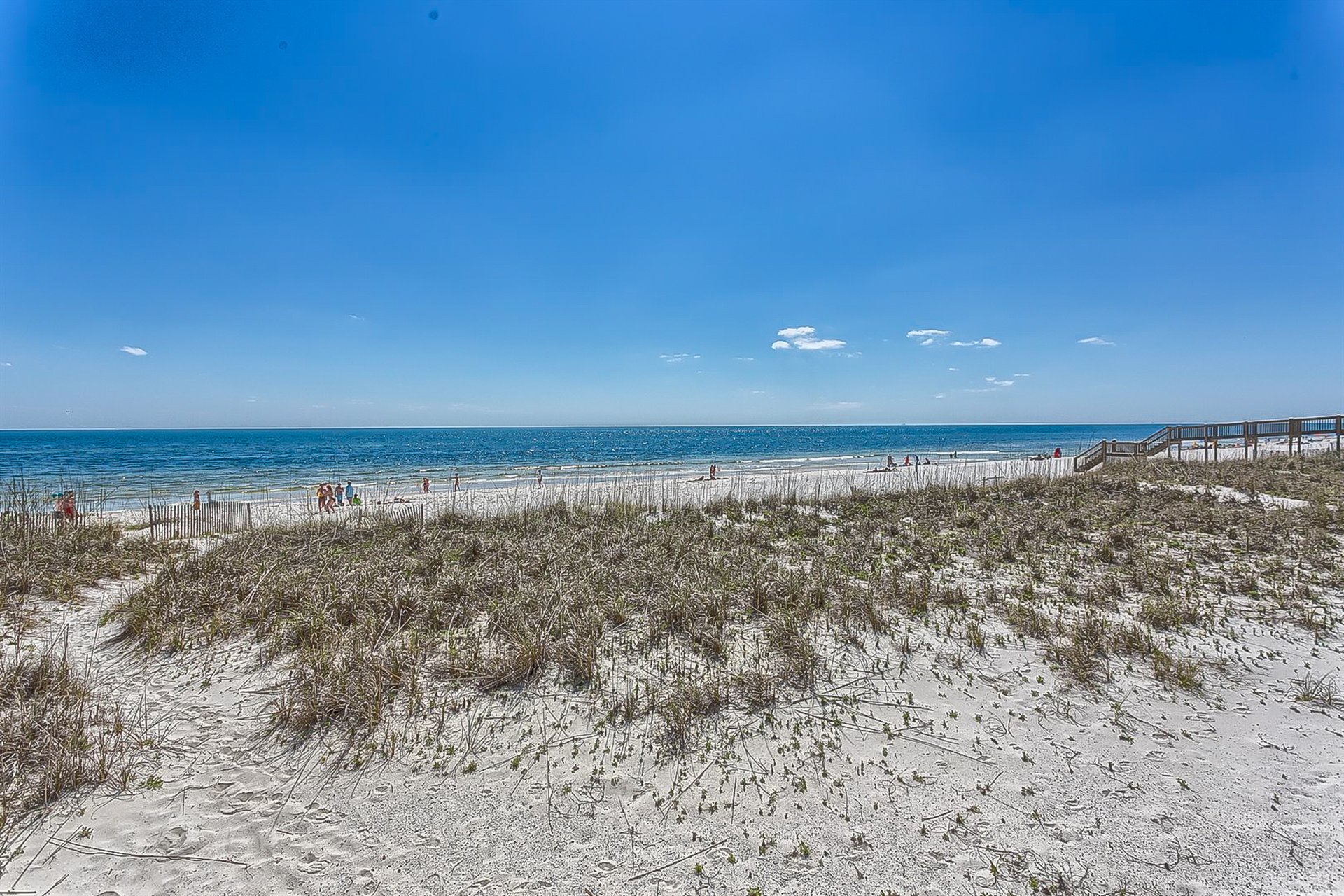 Alabama White Sands 22