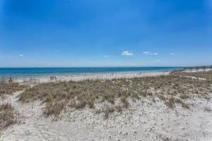 Alabama White Sands 22