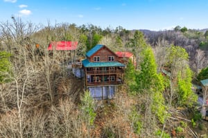 Aerial view of a rustic mountain cabin nestled among rolling hills and mixed forest, showcasing the peaceful natural setting.