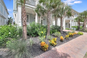 The Pool House