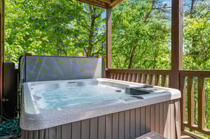 moonbeamandcabindreams15