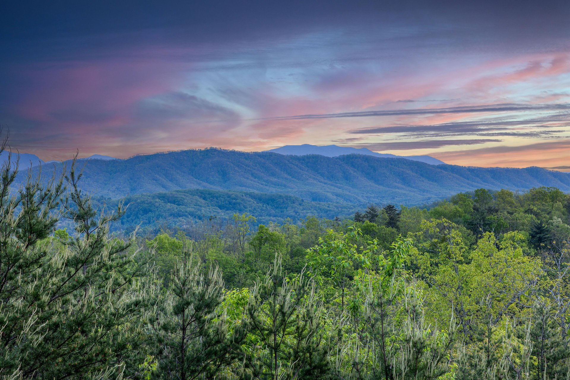 View from Mountain Bliss cabin