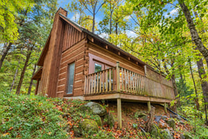 A secluded log cabin surrounded by vibrant forest canopy, with a spacious deck overlooking the lush woodland setting. Your private woodland escape awaits.