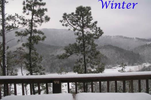 Winter View from Rear Deck
