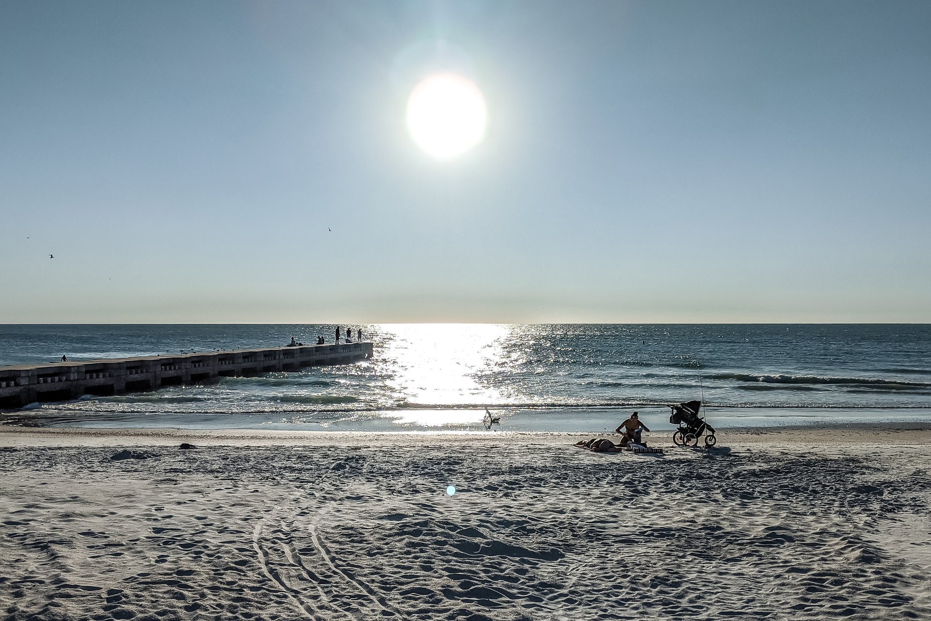 Birds Nest Unit B 23