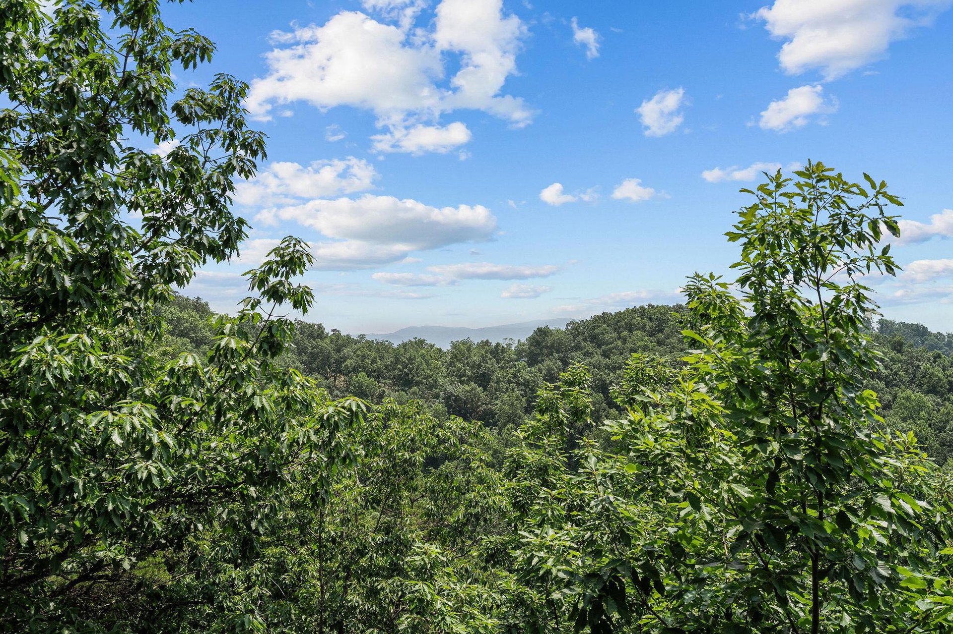 View from View and Me cabin