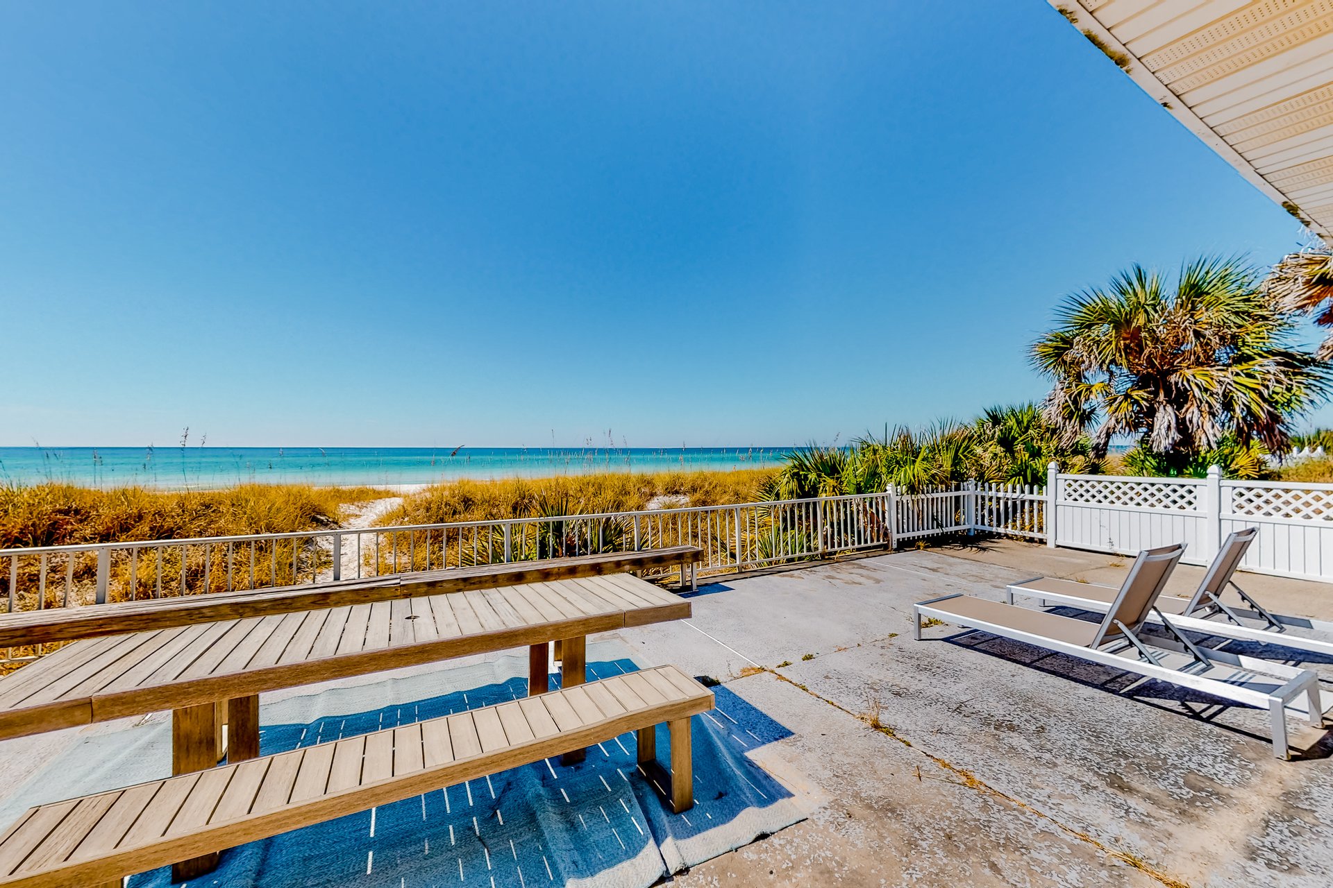 Oleander Elegance 33