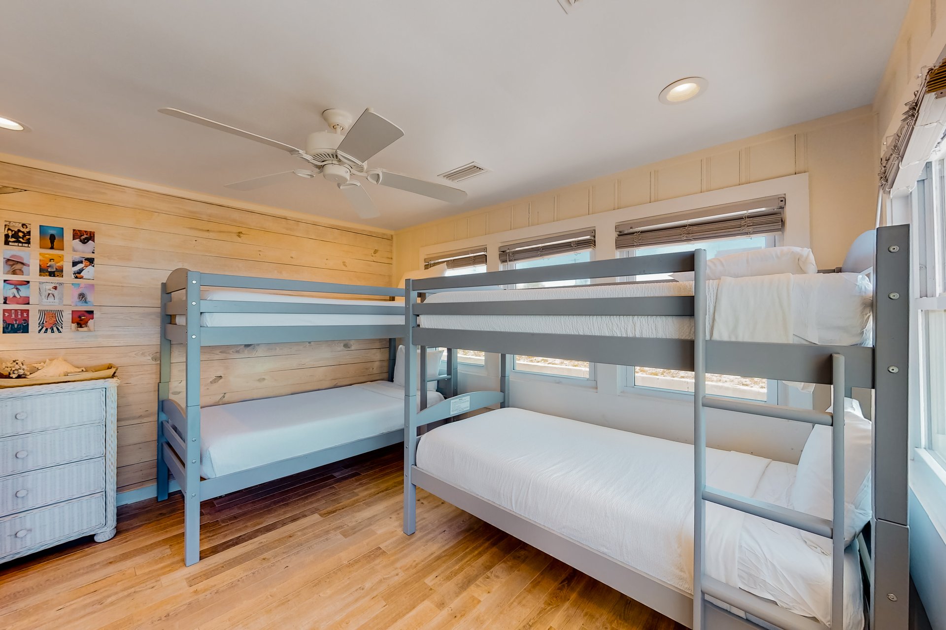 Oleander Elegance 15