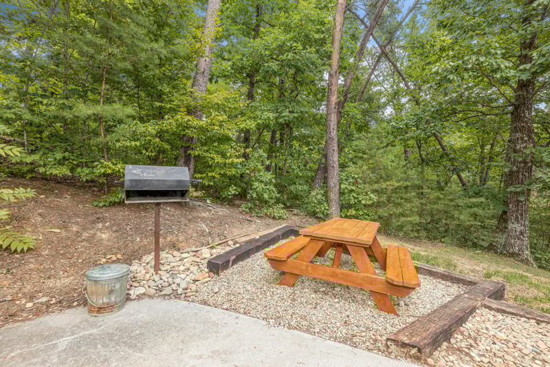 Picnic table and park grill