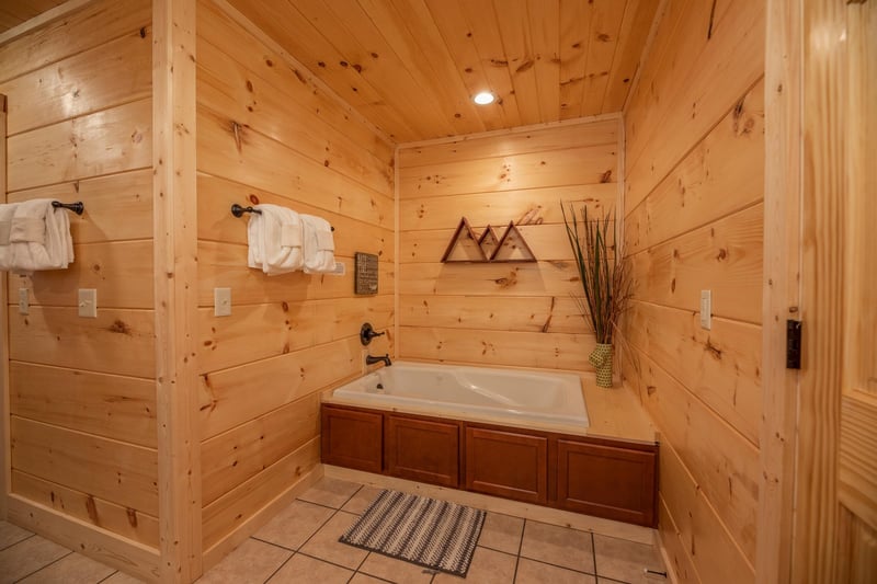 Jacuzzi Tub
