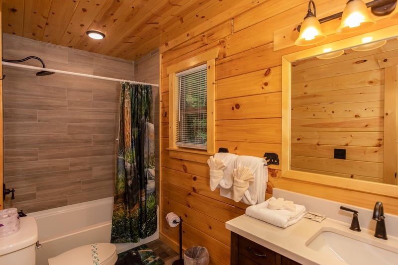 Show Tub Combo