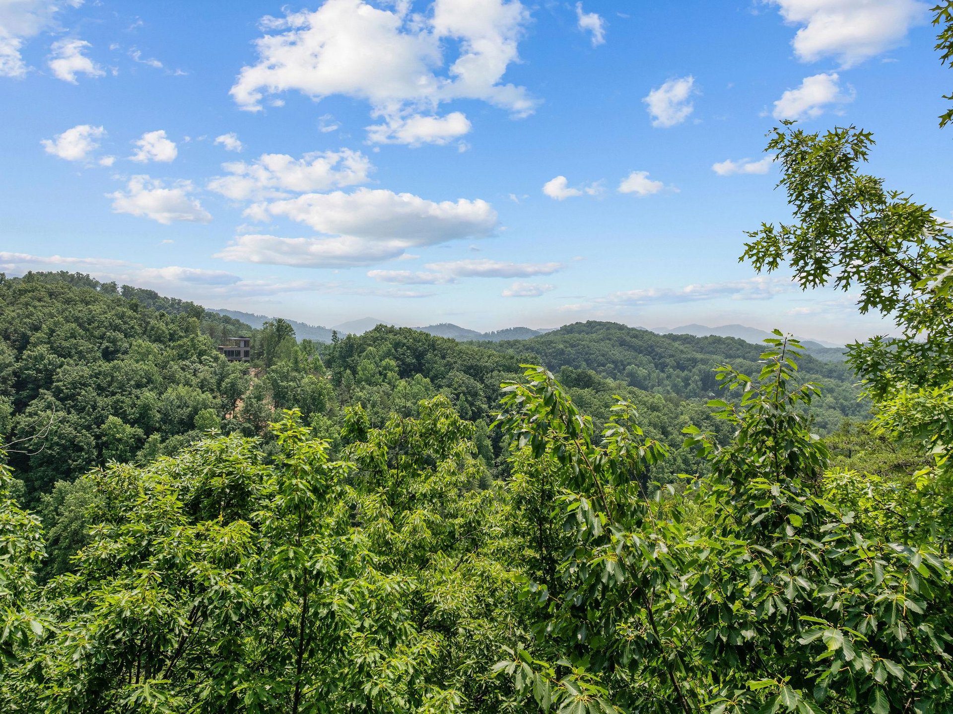 View from View and Me cabin