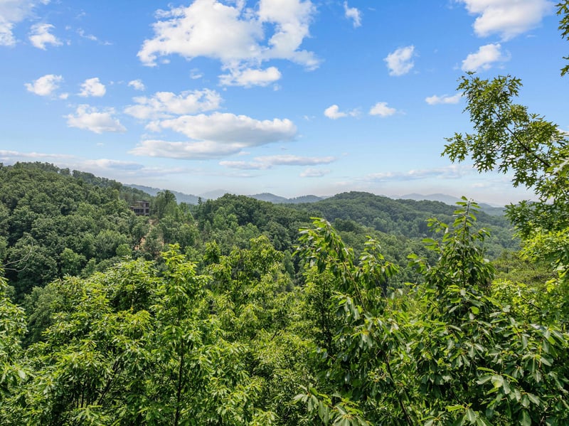 View from View and Me cabin